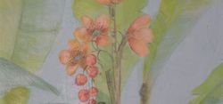 Immagine 057.jpg