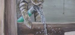 acqua di lago p1