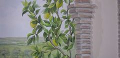 giardino spontaneo p1.JPG