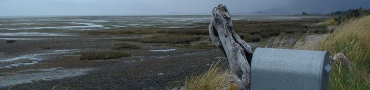 NZ_Mailbox.jpg