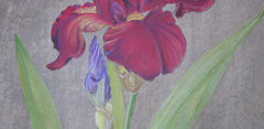 DSCN1082.JPG
