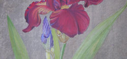 DSCN1082.JPG