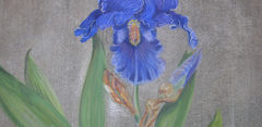 DSCN1084.JPG
