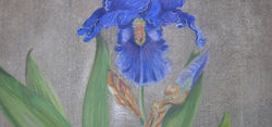 DSCN1084.JPG