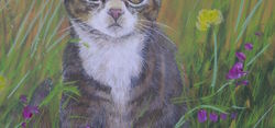 le chat