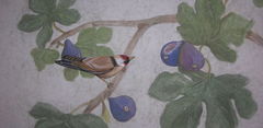 DSCN1093.JPG