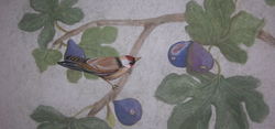DSCN1093.JPG