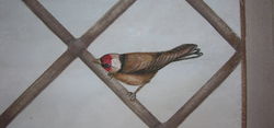 DSCN1085.JPG