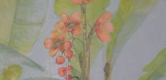 Immagine 057.jpg