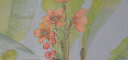 Immagine 057.jpg