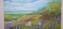 paradiso di lavanda